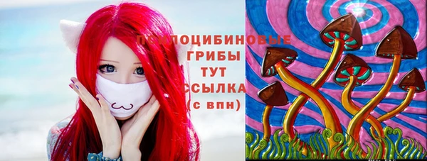 кокс Аркадак